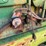 1973-john-deere-4430-image-11