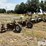 orthman-612-024-image-3