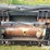 westward-388-image-12