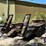 14’-t/a-equipment-tag-trailer-image-19