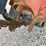 2012-ditch-witch-rt80-image-22