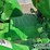 2016-john-deere-5055e-image-25