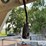 2002-kiefer-built-t/a-livestock-trailer-image-15