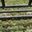ford-f150-image-14