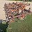 case-field-cultivator-image-4