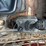 2019-takeuchi-tl6r-image-15