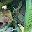 john-deere-l-image-24