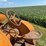 minneapolis-moline-kta-image-34