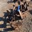 ford-101-image-2