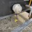 2023-leeboy-l600s-skid-mount-asphalt-distributors-(rockville,-va)-image-5