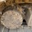 komatsu-pc220-lc-image-8
