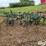 john-deere-at40-image-7