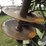 john-deere-230-image-18