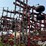 wil-rich-quad-x-image-4