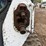 2020-bobcat-t595-image-11