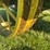 john-deere-bo-image-18