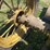 john-deere-a-image-21