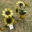 #122-•-metal-art---caterpillar-w/flower-arrangement-image-3