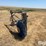 douglas-welding-&-machine-feed-bunk-sweeper-skid-steer-attachment-image-3