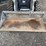 2023-bobcat-s86-image-9