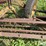 new-holland-55-image-12