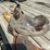 horse-riding-saddles-image-17