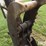 2006-bobcat-435hag-image-15