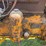 minneapolis-moline-kta-image-24