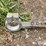 john-deere-625f-image-7