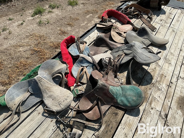 race-horse-training-saddles-image-7