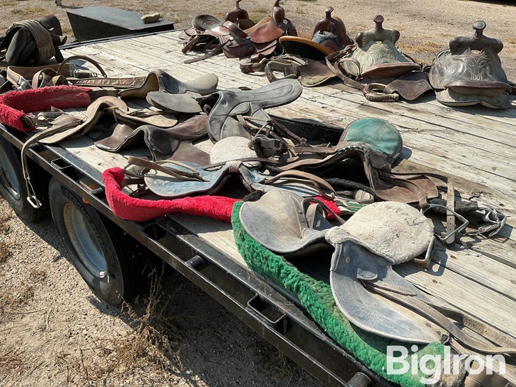race-horse-training-saddles-image-1