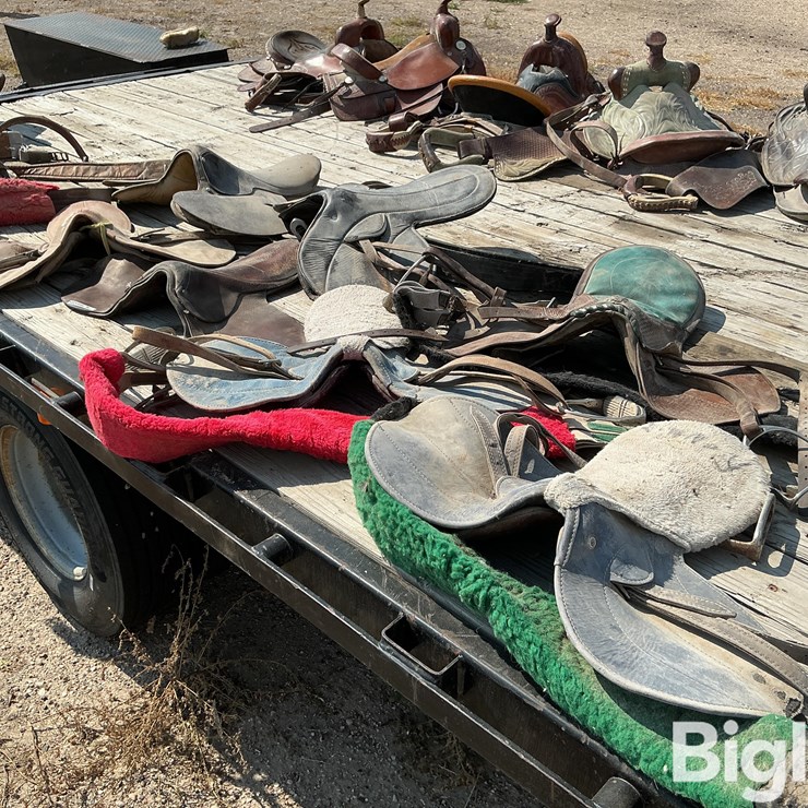 Race Horse Training Saddles