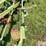 john-deere-5-image-15
