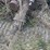 john-deere-b-image-9