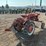 international-cub-image-5