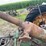 john-deere-a-image-17