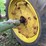 john-deere-g-image-21