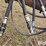krause-3119-image-10