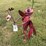 #128-•-metal-art---stand-up-dragon-fly-w/-bouguet-flowers-image-2