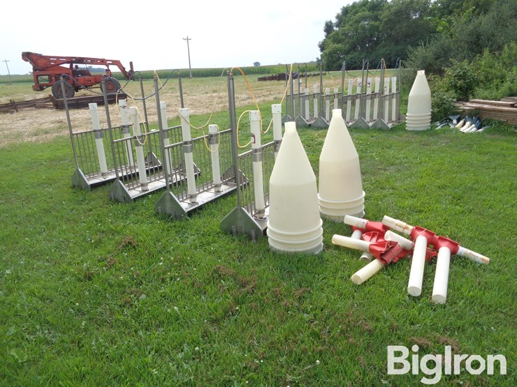 stainless-steel-tube-feeders-image-9
