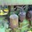 john-deere-m-image-25