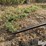 skid-steer-bale-spear-attachment-image-16