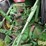 1981-john-deere-4640-image-13