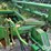 john-deere-630-image-14