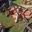 bush-hog-fth600-image-6
