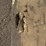#48-•-hand-use-hydraulic-track-pin-press-machine-image-4