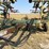 noble-32’-field-cultivator-image-11
