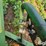 john-deere-400-image-14