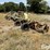orthman-612-024-image-1