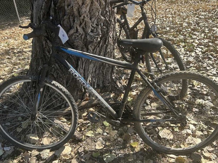 #90-•-granite-peak-roadmaster-bike-image-1